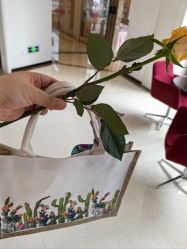 -喜宝母婴月子会所