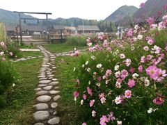 -布尔津河堤夜市