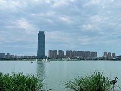 -高子水居