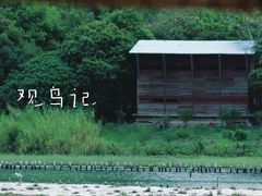 -华侨城湿地公园