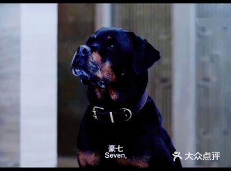 本来以为是一部搞笑片的  没想到如此感人  
