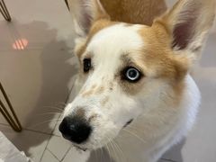 -平行世界·猫咖(首经贸店)