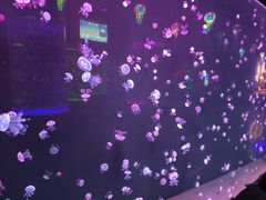-石家庄极地海洋世界