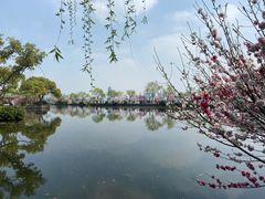 -无锡蠡湖国家湿地公园-蠡园