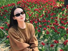 -长春公园(普阳街道)