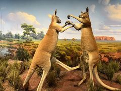 -陕西自然博物馆