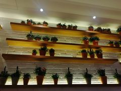 -翠華餐廳(浦东机场T1店)