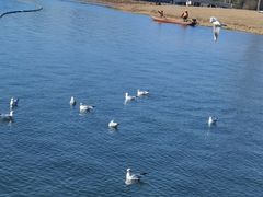 -渤公岛生态公园
