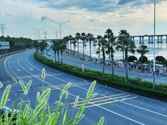 -宝安西湾红树林湿地公园