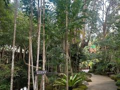 -绿光森林餐厅