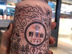 -野萃山·潮汕厚果汁(十亩地店)