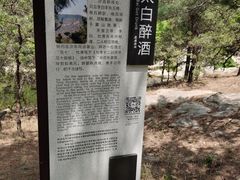 -沂蒙山旅游区龟蒙景区
