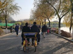-丁香湖公园
