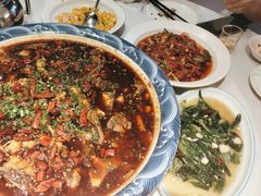 -新概念来凤鱼(璧山店)