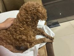 -巧手推拿中心(盲人推拿)