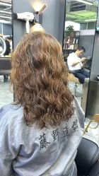 -藤野造型