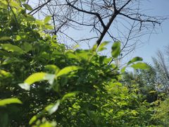 -南园(太仓市)