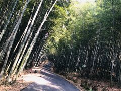-苏州环秀晓筑养生度假村