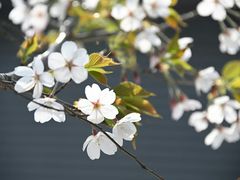 -七宝老街-闵行市民文化广场