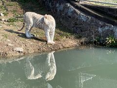 -宁波野生动物园