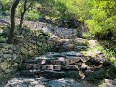 -北京鹫峰国家森林公园