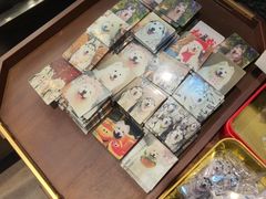 -星多哈·狗咖·拼豆·咖啡