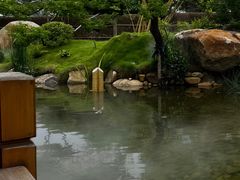 -筱爷叔·上海传统手工菜(新桥店)