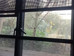 -黔蘑菇四季餐厅(观山湖店)