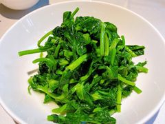 五粮液嫩豆苗-玫瑰厅上海菜(兴国路店)