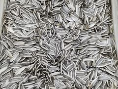 -粒上皇(莲塘聚宝路店)