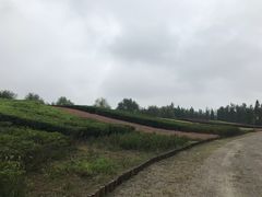 -梁鸿国家湿地公园