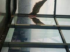 -WFC会仙楼观景台