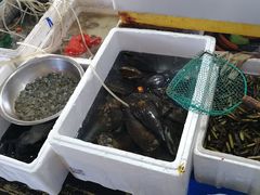 -罗源湾8号渔排