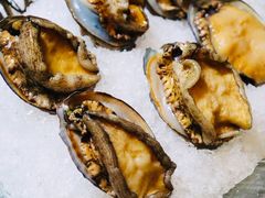 活鲍鱼-金龙·打边炉(南京西路店)