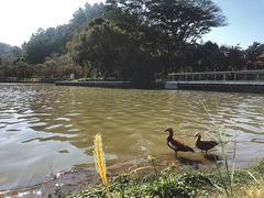 -顺峰山公园