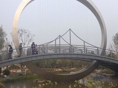 -武清南湖绿博园