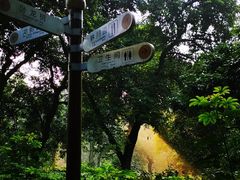 -张坝桂圆林公园