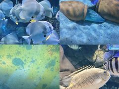 -南昌融创海世界