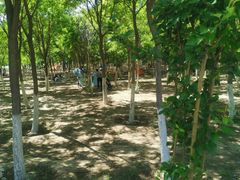 -西青郊野公园