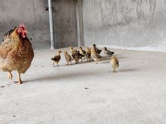 -馬蘭花開(车站大道店)
