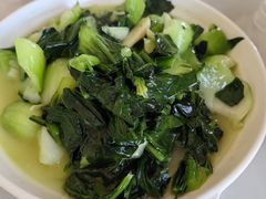 农家时令蔬菜-小陆莲花蟹园农家乐(莲花岛店)