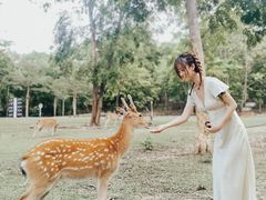 -清迈夜间动物园