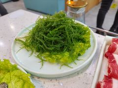海菜（海发菜）-琼鲜记海南糟粕醋火锅