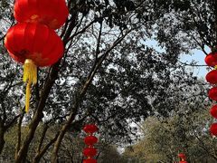 -无锡梅园公园