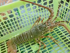 -班赞海鲜市场