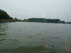 -溱湖国家湿地公园