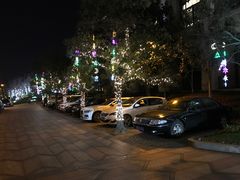 -上海浦东星河湾酒店