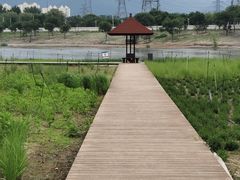 -门城湖公园