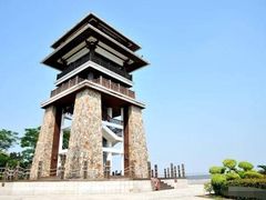 -大湾区中央湿地公园
