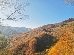 -五女峰国家森林公园